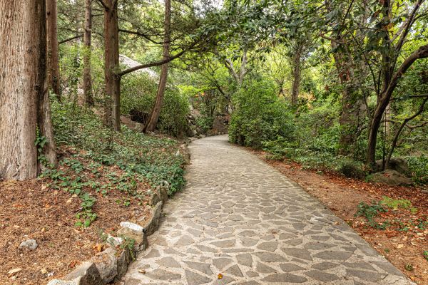 Stone Walkway Repair in Sylvania