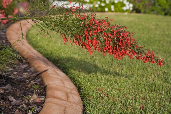 Brick Edging in Sylvania