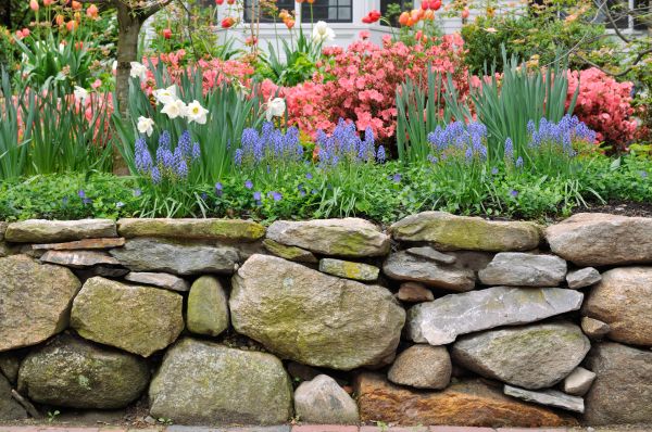 Stone Wall Hardscaping in Sylvania