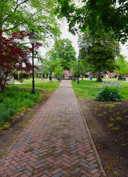 Brick Pathway Repair in Sylvania