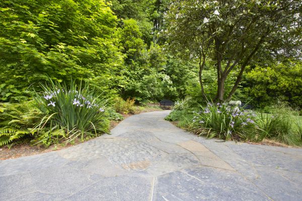 Stone Hardscape Service in Sylvania